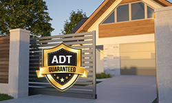 ADT Theft Protection